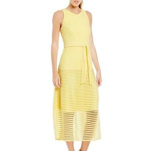 Antonio Melani Enid Sleeveless Striped Mesh Dress